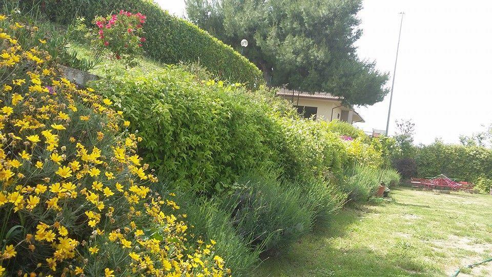 Appartement La Casa Di Stefania à Pollutri Extérieur photo